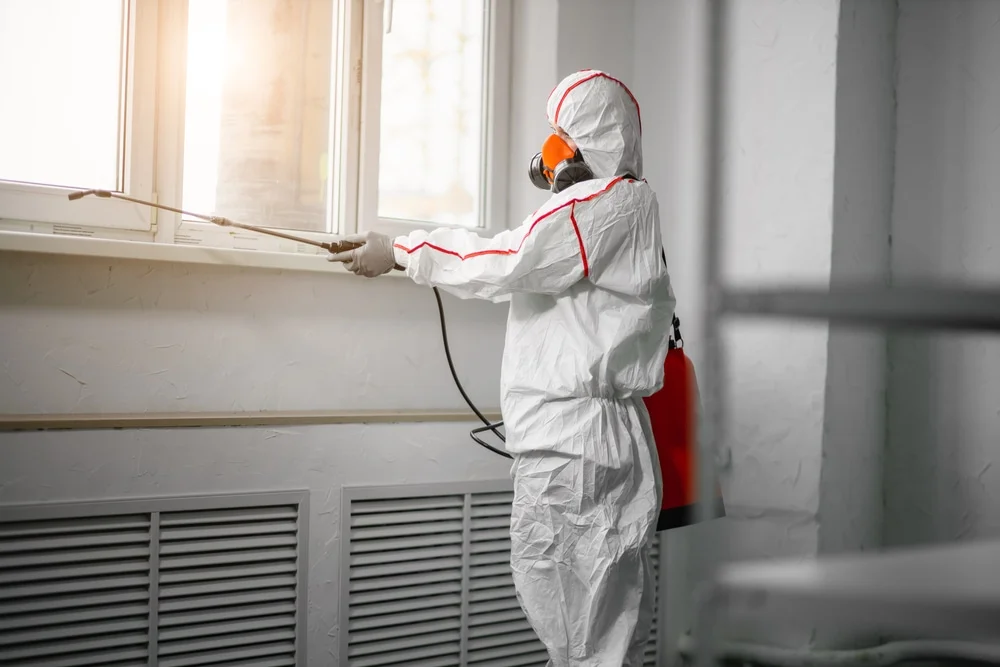Professional mold remediation services in Beloit, OH